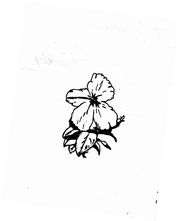 next page →